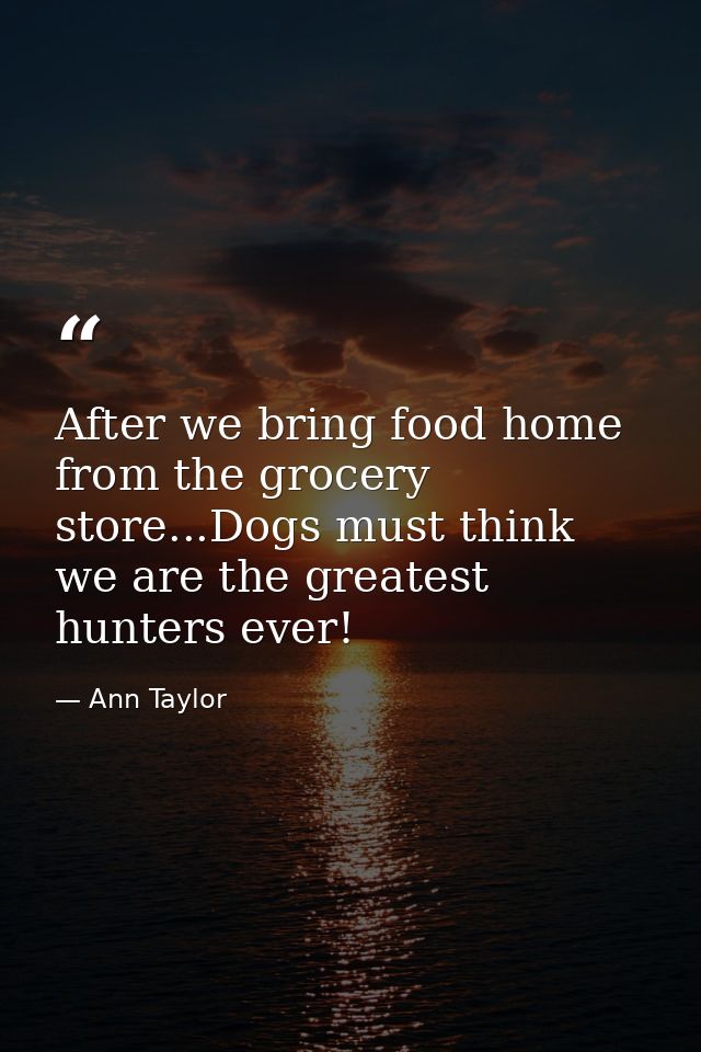 After we bring food home from the grocery store...Dogs must think we are the greatest hunters ever! — Ann Taylor