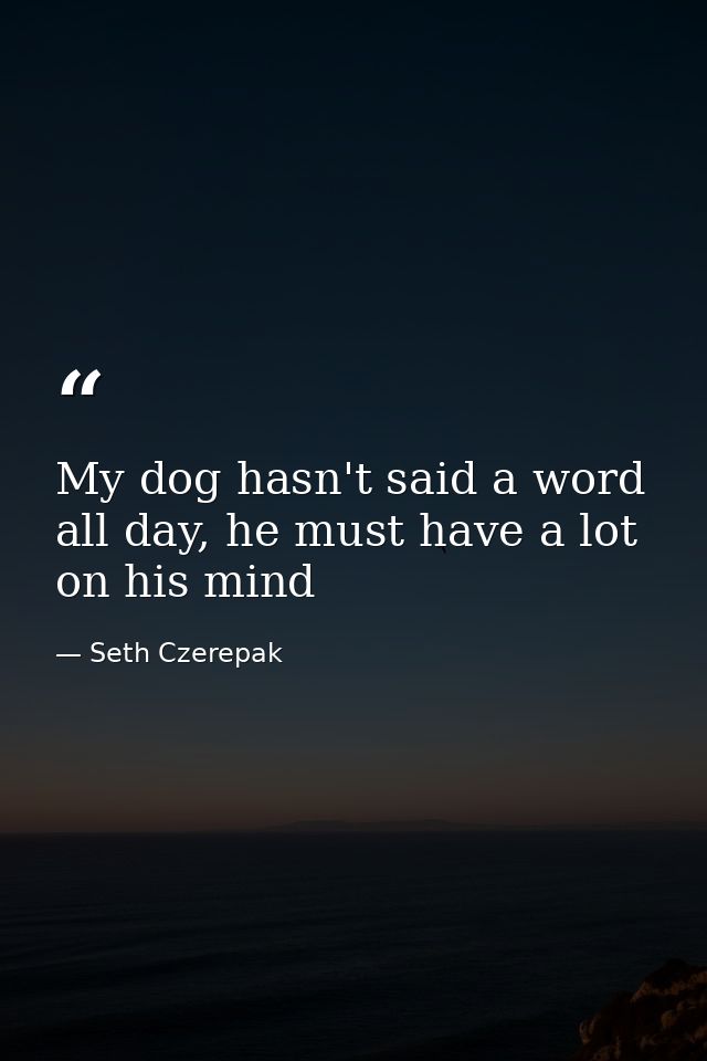 My dog hasn't said a word all day, he must have a lot on his mind — Seth Czerepak