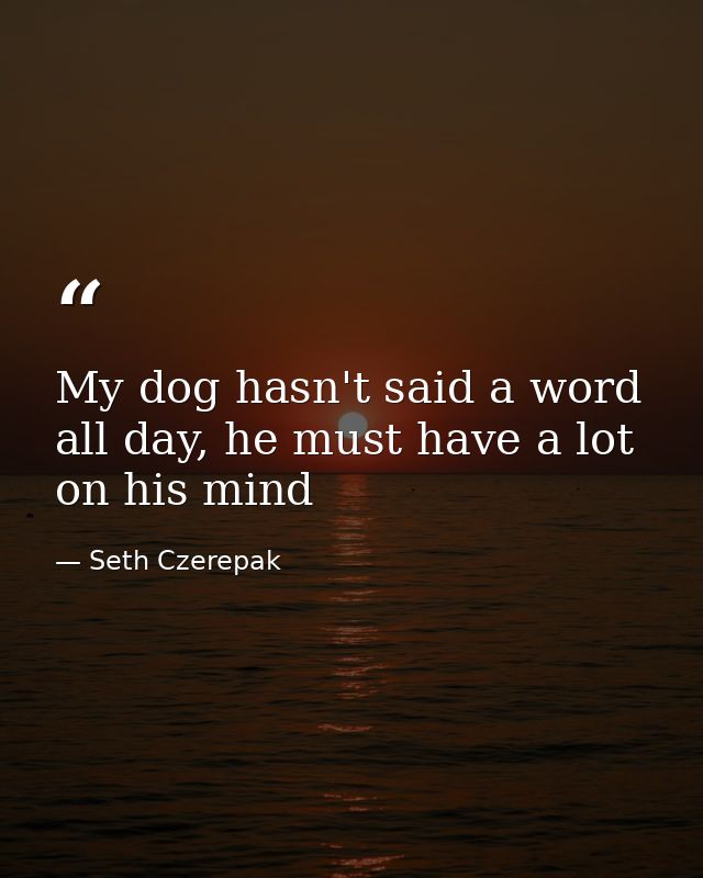 My dog hasn't said a word all day, he must have a lot on his mind — Seth Czerepak