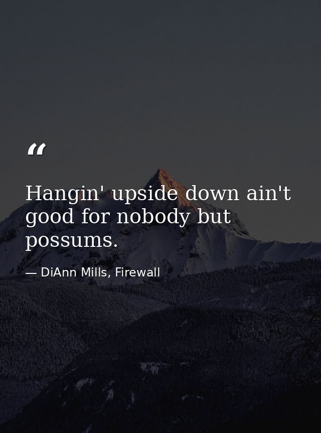 Hangin' upside down ain't good for nobody but possums. — DiAnn Mills, Firewall