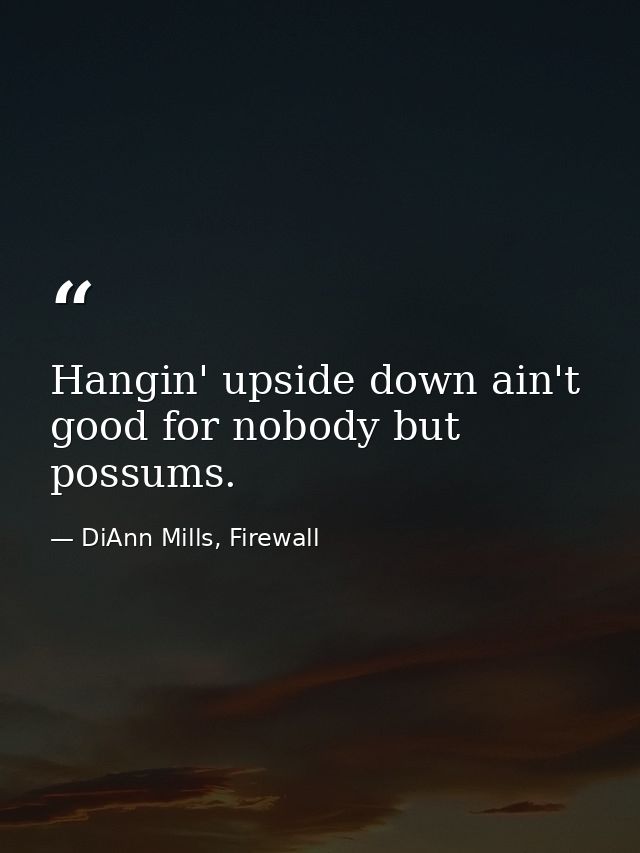 Hangin' upside down ain't good for nobody but possums. — DiAnn Mills, Firewall