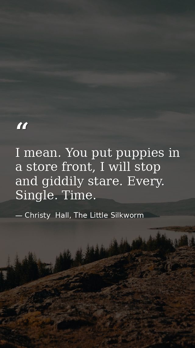I mean. You put puppies in a store front, I will stop and giddily stare. Every. Single. Time. — Christy  Hall, The Little Silkworm