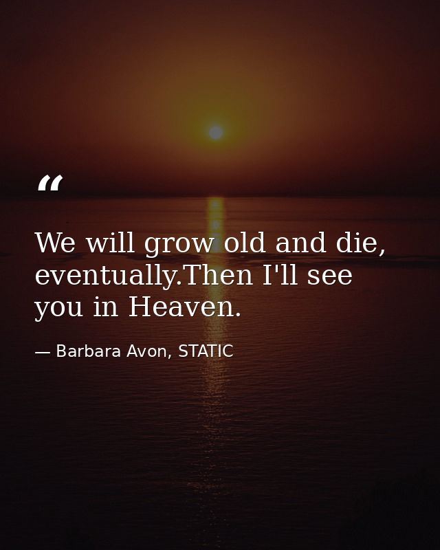 We will grow old and die, eventually.Then I'll see you in Heaven. — Barbara Avon, STATIC