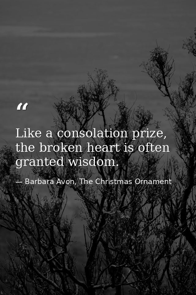 Like a consolation prize, the broken heart is often granted wisdom. — Barbara Avon, The Christmas Ornament
