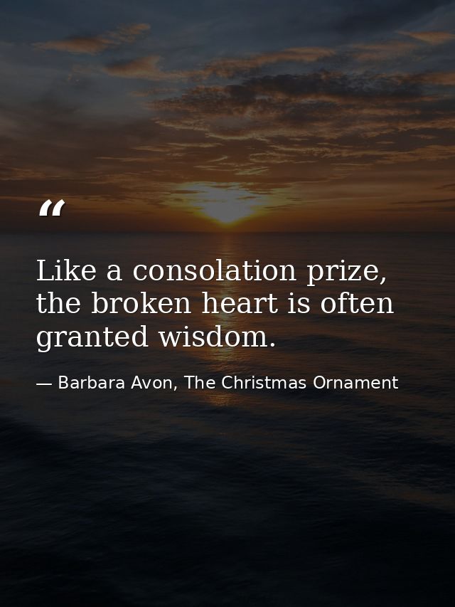 Like a consolation prize, the broken heart is often granted wisdom. — Barbara Avon, The Christmas Ornament