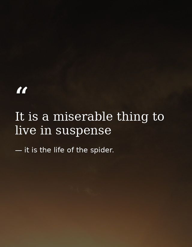 It is a miserable thing to live in suspense — it is the life of the spider.