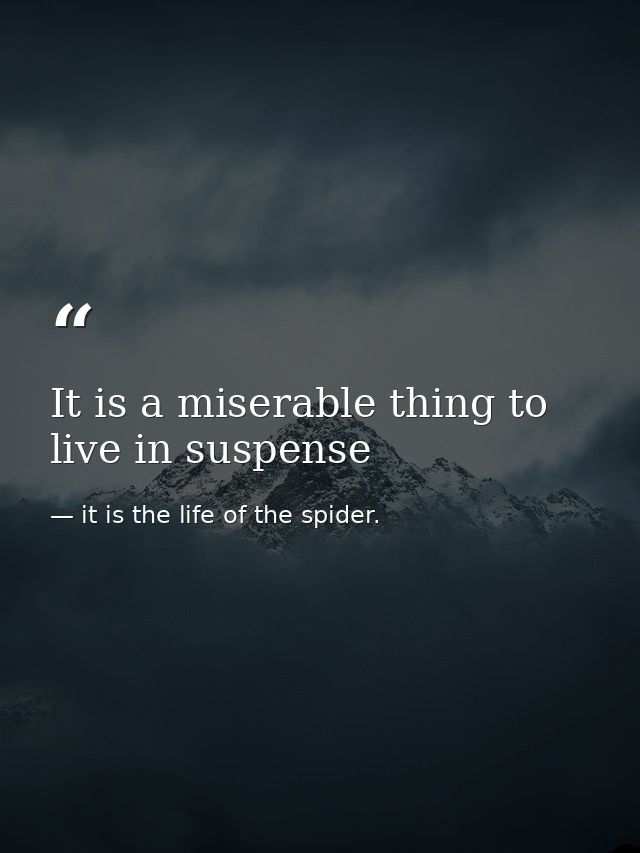 It is a miserable thing to live in suspense — it is the life of the spider.