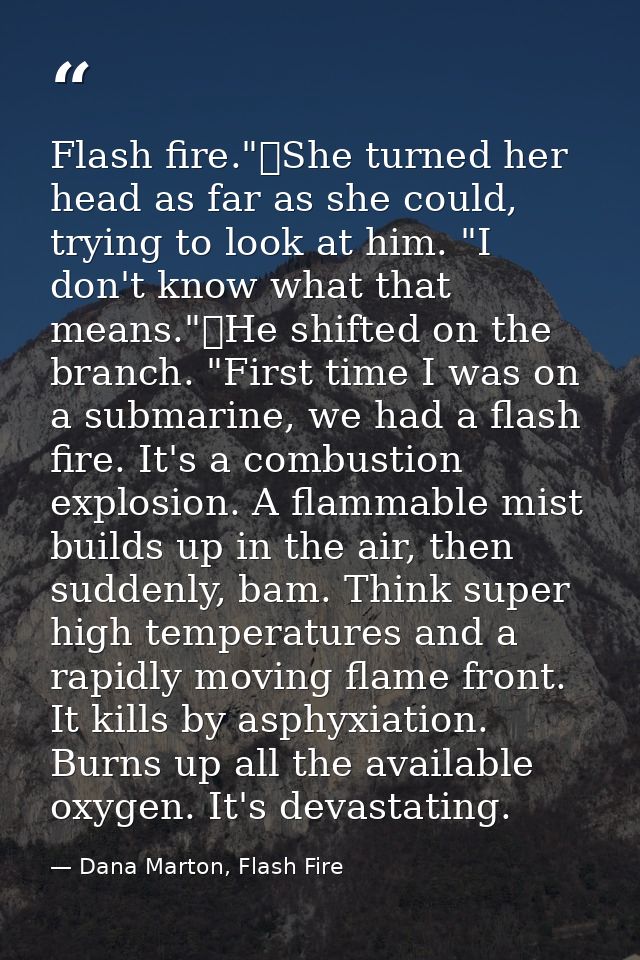 Flash fire."	She turned her head as far as she could, trying to look at him. "I don't know what that means."	He shifted  — Dana Marton, Flash Fire