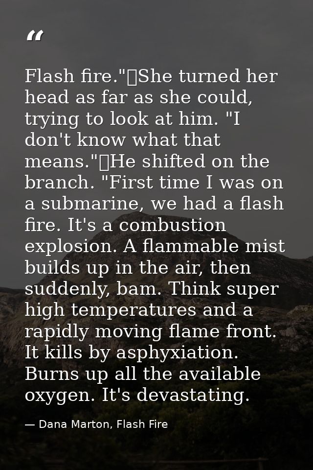 Flash fire."	She turned her head as far as she could, trying to look at him. "I don't know what that means."	He shifted  — Dana Marton, Flash Fire