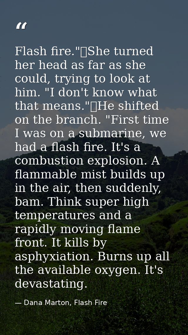 Flash fire."	She turned her head as far as she could, trying to look at him. "I don't know what that means."	He shifted  — Dana Marton, Flash Fire