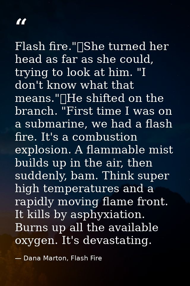 Flash fire."	She turned her head as far as she could, trying to look at him. "I don't know what that means."	He shifted  — Dana Marton, Flash Fire