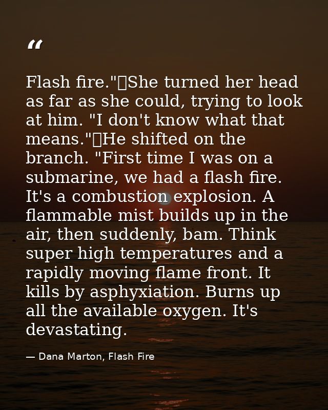 Flash fire."	She turned her head as far as she could, trying to look at him. "I don't know what that means."	He shifted  — Dana Marton, Flash Fire