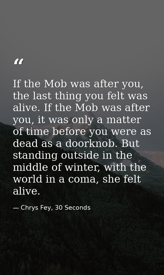 If the Mob was after you, the last thing you felt was alive. If the Mob was after you, it was only a matter of time befo — Chrys Fey, 30 Seconds