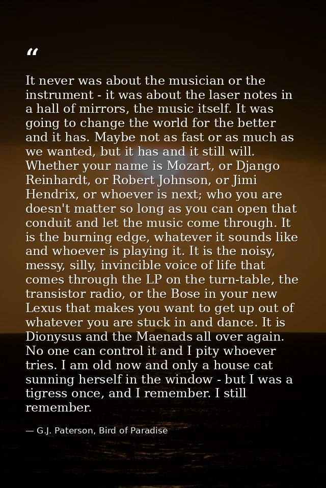 It never was about the musician or the instrument - it was about the laser notes in a hall of mirrors, the music itself. — G.J. Paterson, Bird of Paradise