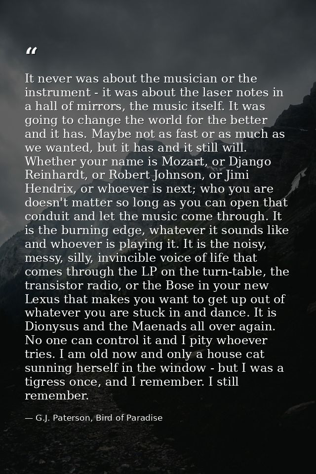 It never was about the musician or the instrument - it was about the laser notes in a hall of mirrors, the music itself. — G.J. Paterson, Bird of Paradise