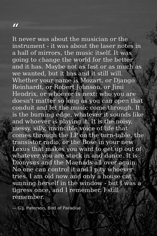 It never was about the musician or the instrument - it was about the laser notes in a hall of mirrors, the music itself. — G.J. Paterson, Bird of Paradise