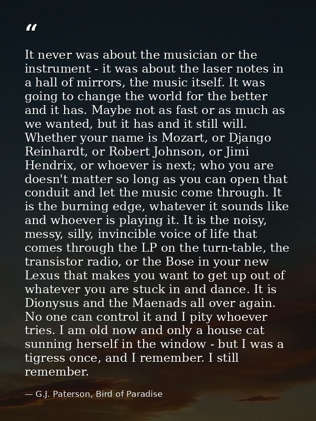 It never was about the musician or the instrument - it was about the laser notes in a hall of mirrors, the music itself. — G.J. Paterson, Bird of Paradise