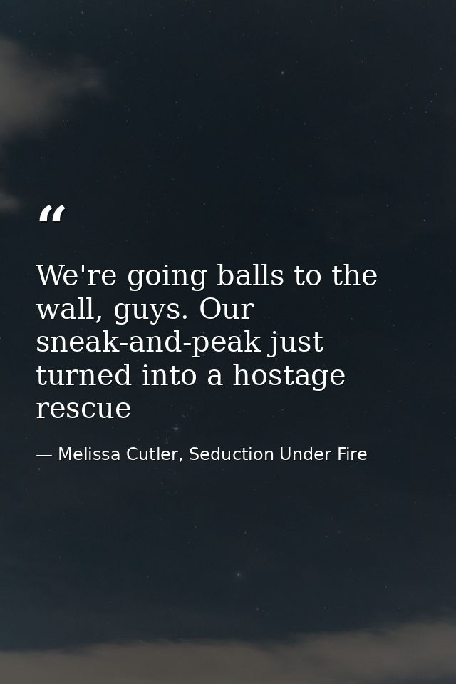 We're going balls to the wall, guys. Our sneak-and-peak just turned into a hostage rescue — Melissa Cutler, Seduction Under Fire