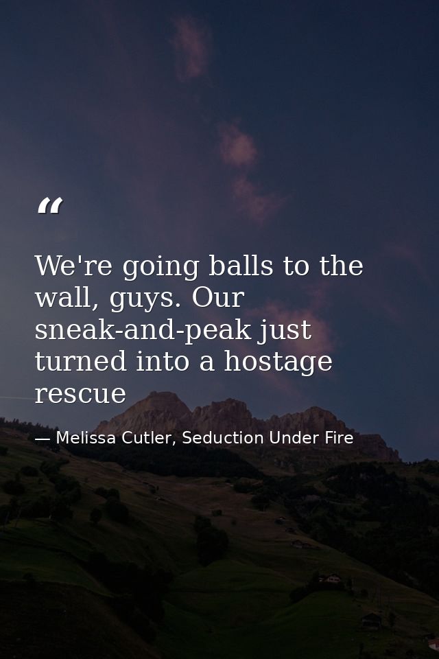 We're going balls to the wall, guys. Our sneak-and-peak just turned into a hostage rescue — Melissa Cutler, Seduction Under Fire