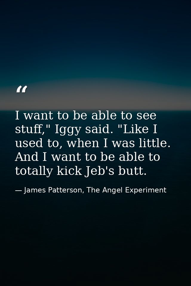 I want to be able to see stuff," Iggy said. "Like I used to, when I was little. And I want to be able to totally kick Je — James Patterson, The Angel Experiment