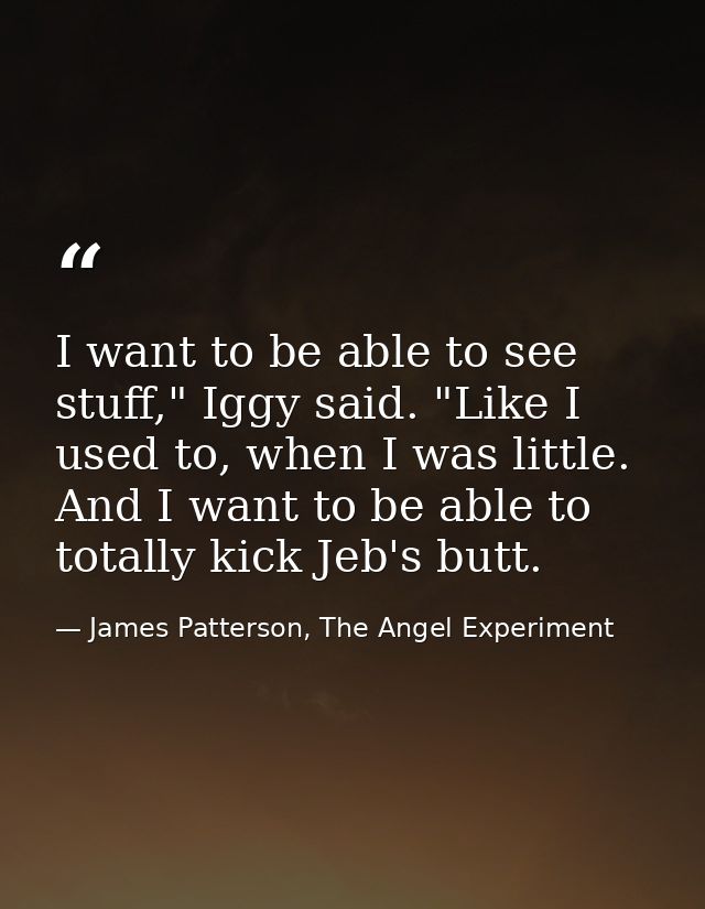 I want to be able to see stuff," Iggy said. "Like I used to, when I was little. And I want to be able to totally kick Je — James Patterson, The Angel Experiment