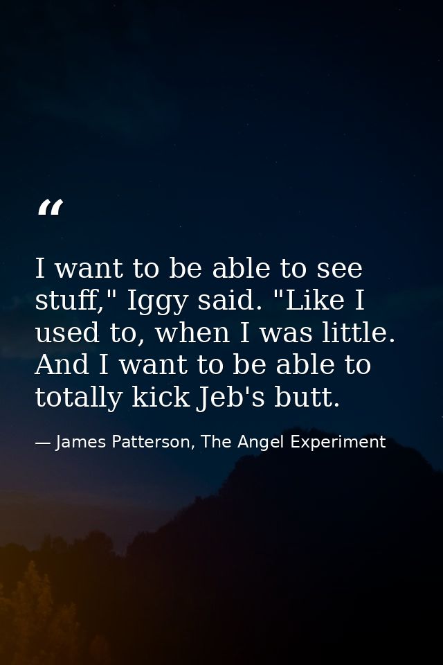 I want to be able to see stuff," Iggy said. "Like I used to, when I was little. And I want to be able to totally kick Je — James Patterson, The Angel Experiment
