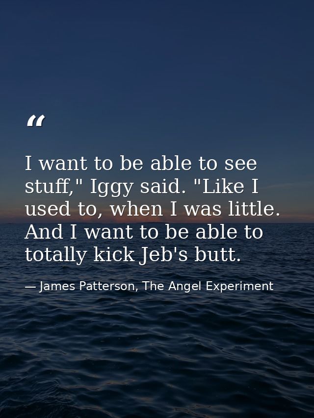 I want to be able to see stuff," Iggy said. "Like I used to, when I was little. And I want to be able to totally kick Je — James Patterson, The Angel Experiment