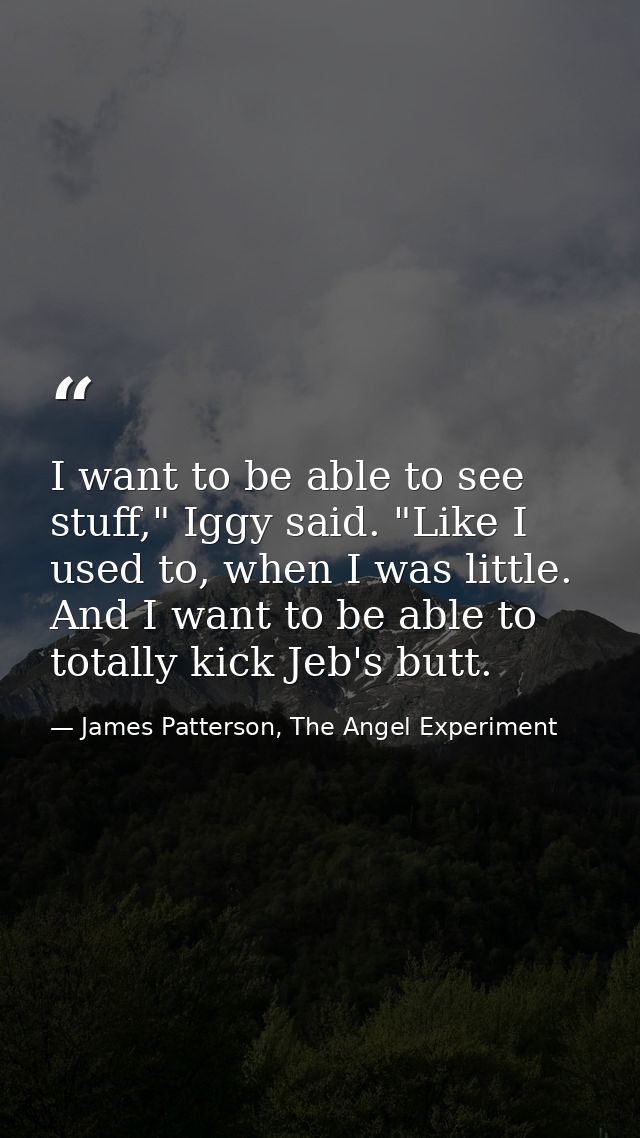 I want to be able to see stuff," Iggy said. "Like I used to, when I was little. And I want to be able to totally kick Je — James Patterson, The Angel Experiment