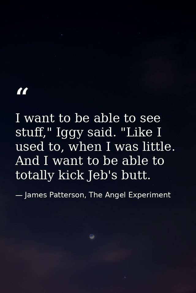 I want to be able to see stuff," Iggy said. "Like I used to, when I was little. And I want to be able to totally kick Je — James Patterson, The Angel Experiment