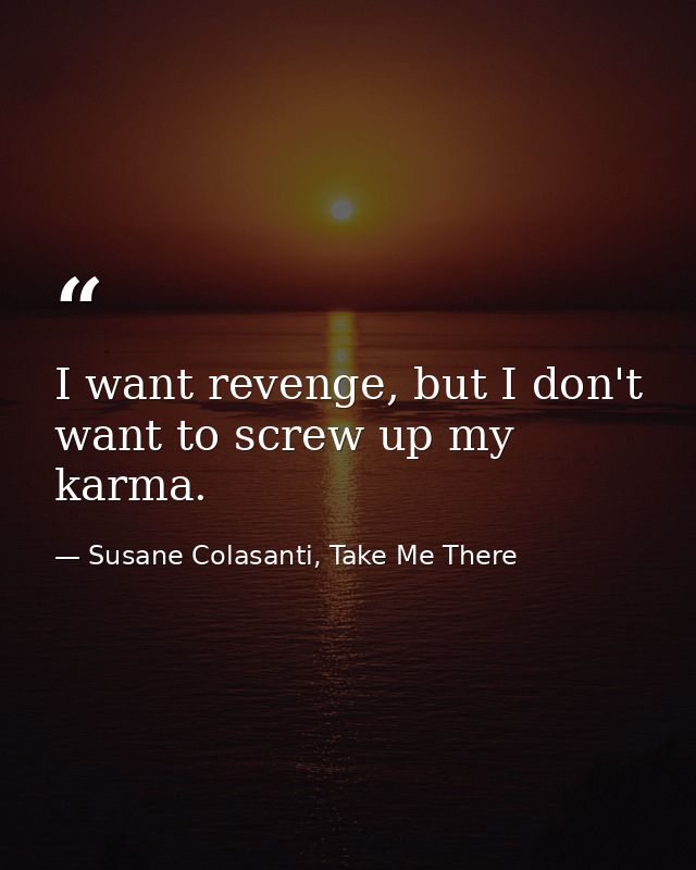 I want revenge, but I don't want to screw up my karma. — Susane Colasanti, Take Me There