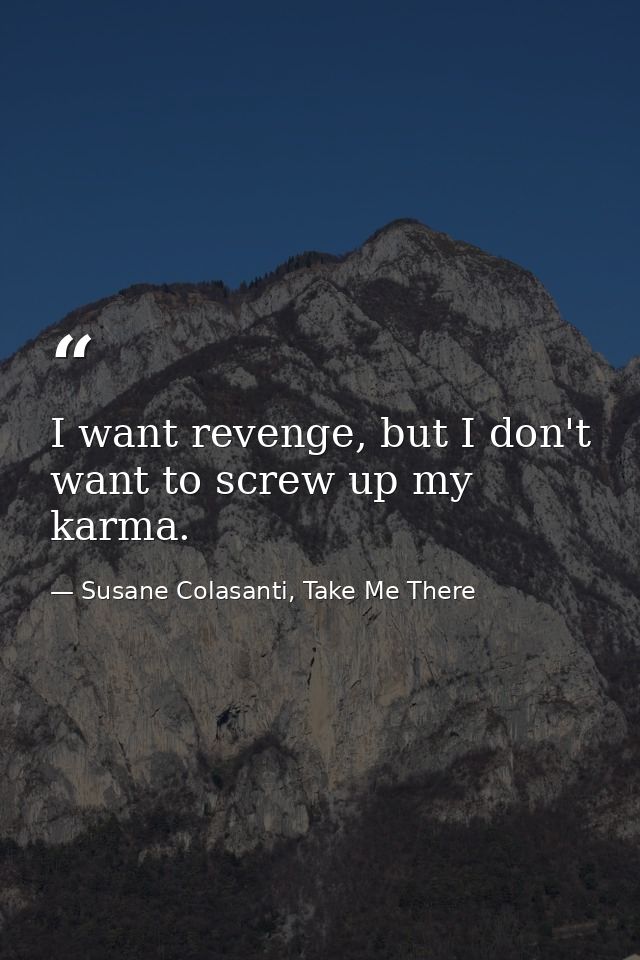 I want revenge, but I don't want to screw up my karma. — Susane Colasanti, Take Me There