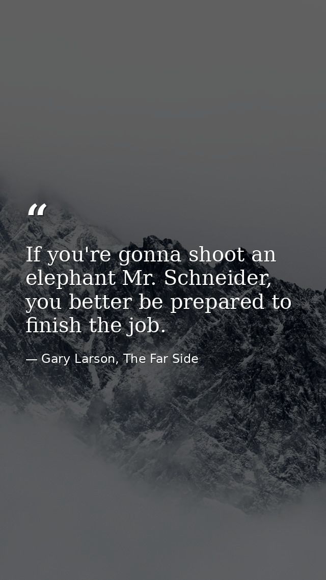 If you're gonna shoot an elephant Mr. Schneider, you better be prepared to finish the job. — Gary Larson, The Far Side