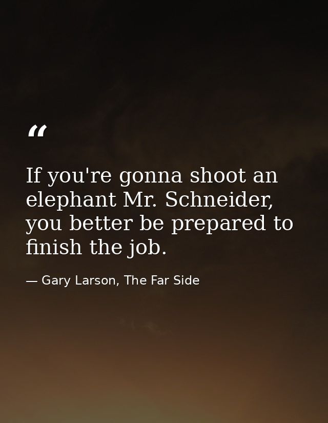 If you're gonna shoot an elephant Mr. Schneider, you better be prepared to finish the job. — Gary Larson, The Far Side