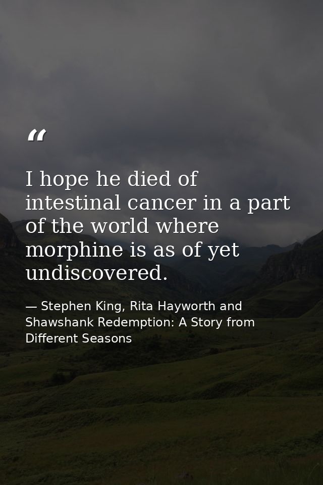 I hope he died of intestinal cancer in a part of the world where morphine is as of yet undiscovered. — Stephen King, Rita Hayworth and Shawshank Redemption: A Story from Different Seasons