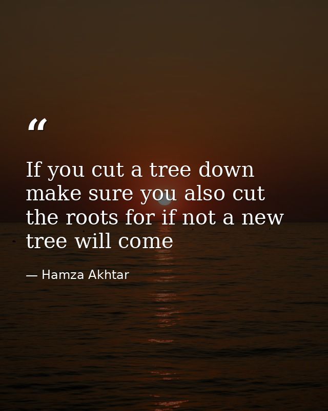If you cut a tree down make sure you also cut the roots for if not a new tree will come — Hamza Akhtar