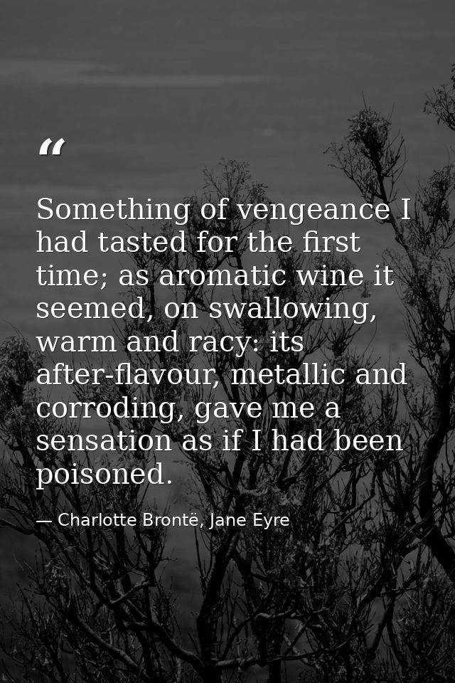 Something of vengeance I had tasted for the first time; as aromatic wine it seemed, on swallowing, warm and racy: its af — Charlotte Brontë, Jane Eyre
