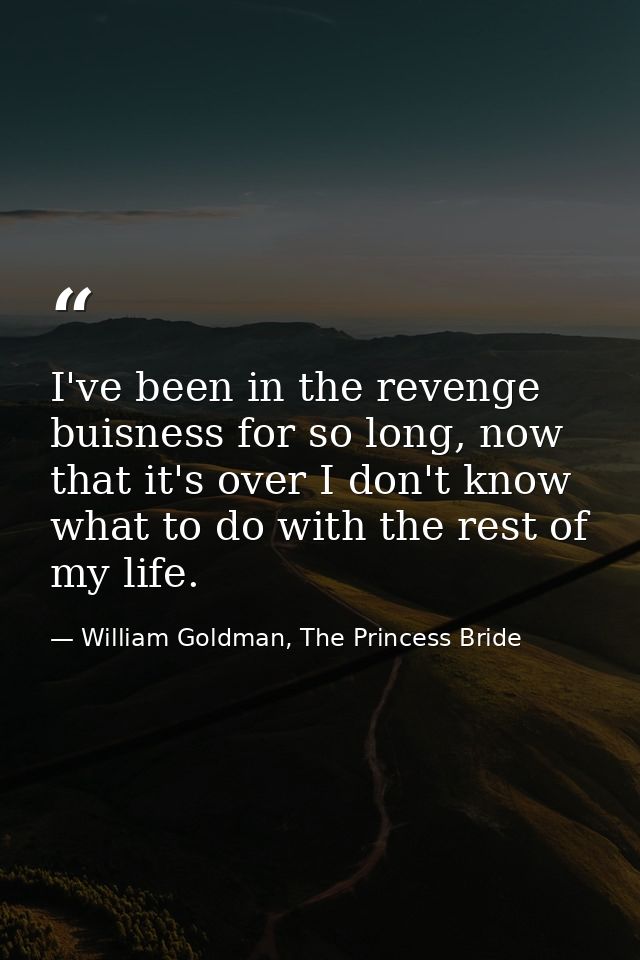 I've been in the revenge buisness for so long, now that it's over I don't know what to do with the rest of my life. — William Goldman, The Princess Bride