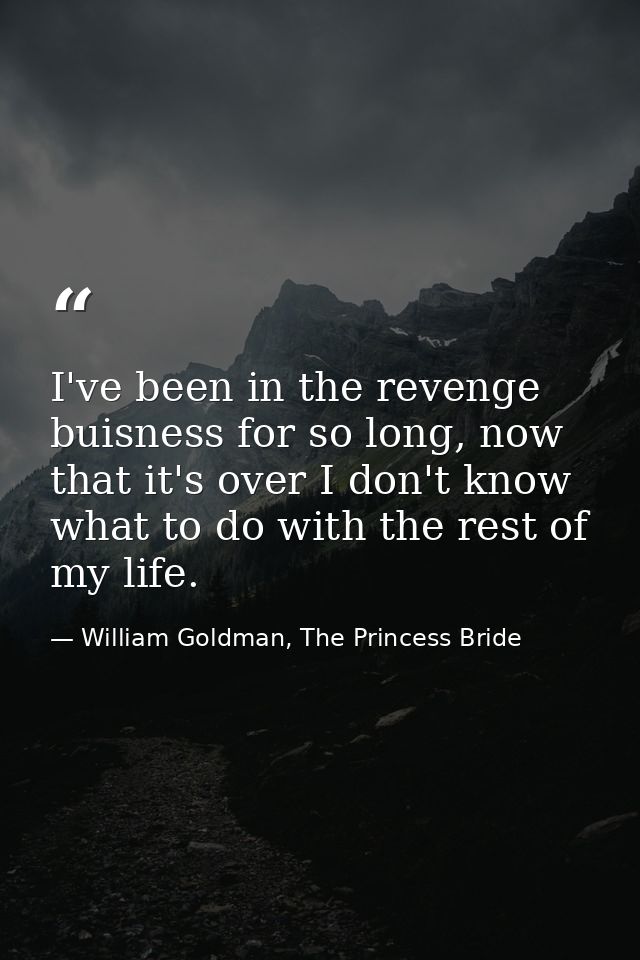 I've been in the revenge buisness for so long, now that it's over I don't know what to do with the rest of my life. — William Goldman, The Princess Bride