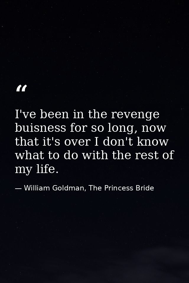 I've been in the revenge buisness for so long, now that it's over I don't know what to do with the rest of my life. — William Goldman, The Princess Bride