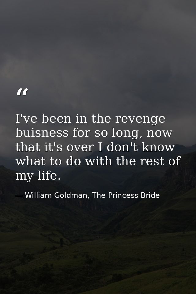 I've been in the revenge buisness for so long, now that it's over I don't know what to do with the rest of my life. — William Goldman, The Princess Bride