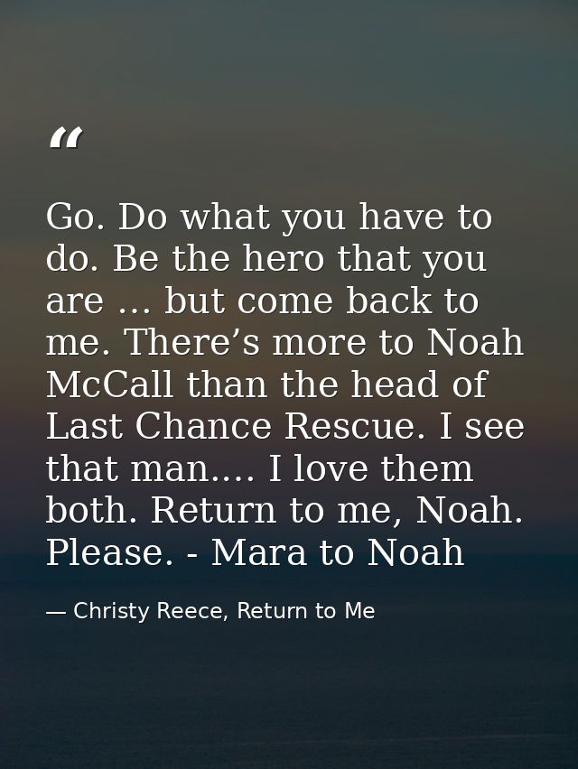 Go. Do what you have to do. Be the hero that you are … but come back to me. There’s more to Noah McCall than the head of — Christy Reece, Return to Me