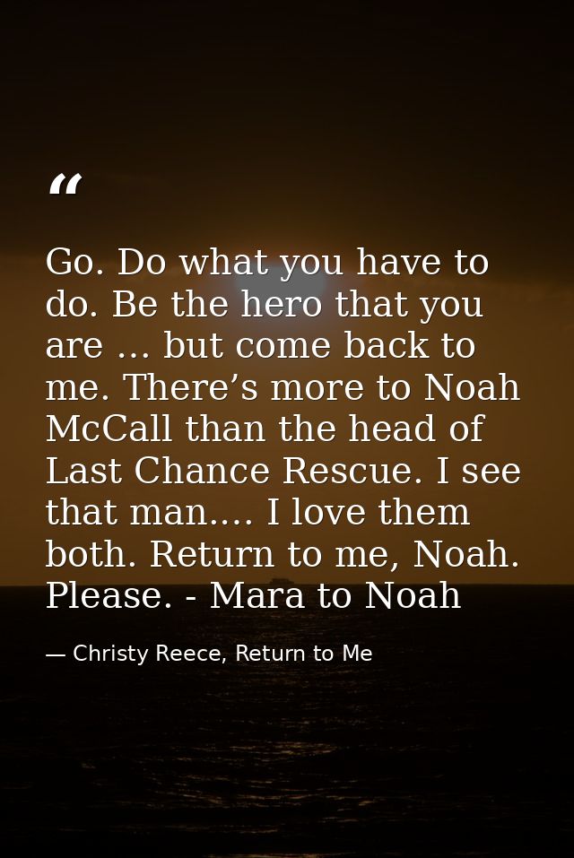 Go. Do what you have to do. Be the hero that you are … but come back to me. There’s more to Noah McCall than the head of — Christy Reece, Return to Me
