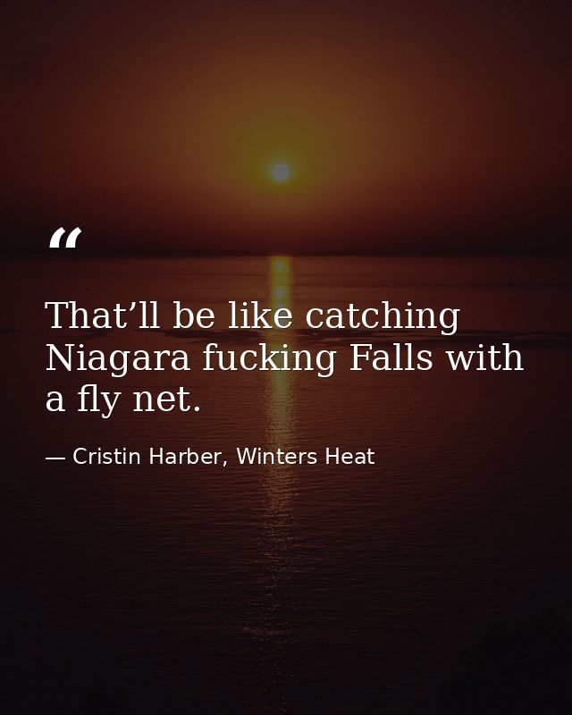 That’ll be like catching Niagara fucking Falls with a fly net. — Cristin Harber, Winters Heat