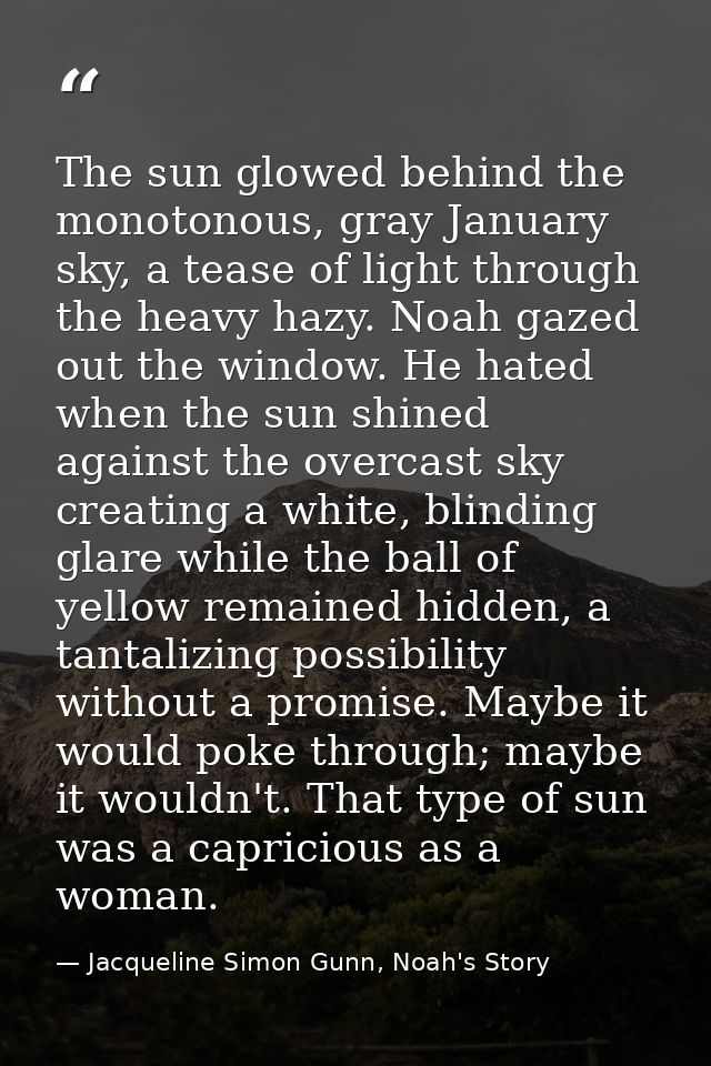 The sun glowed behind the monotonous, gray January sky, a tease of light through the heavy hazy. Noah gazed out the wind — Jacqueline Simon Gunn, Noah's Story
