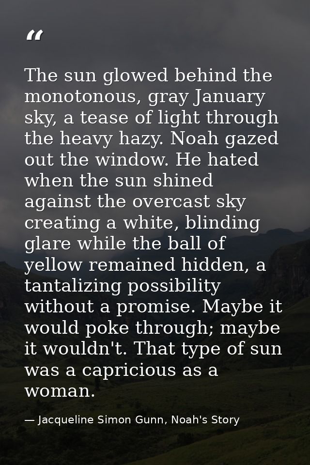 The sun glowed behind the monotonous, gray January sky, a tease of light through the heavy hazy. Noah gazed out the wind — Jacqueline Simon Gunn, Noah's Story