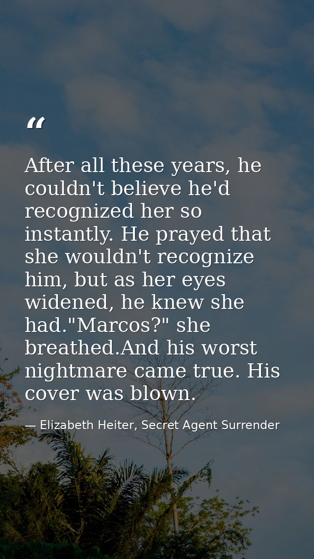 After all these years, he couldn't believe he'd recognized her so instantly. He prayed that she wouldn't recognize him,  — Elizabeth Heiter, Secret Agent Surrender