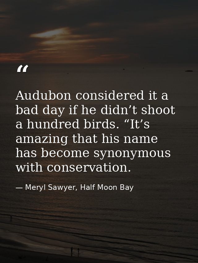 Audubon considered it a bad day if he didn’t shoot a hundred birds. “It’s amazing that his name has become synonymous wi — Meryl Sawyer, Half Moon Bay