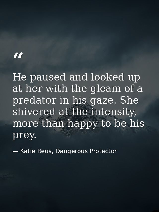 He paused and looked up at her with the gleam of a predator in his gaze. She shivered at the intensity, more than happy  — Katie Reus, Dangerous Protector
