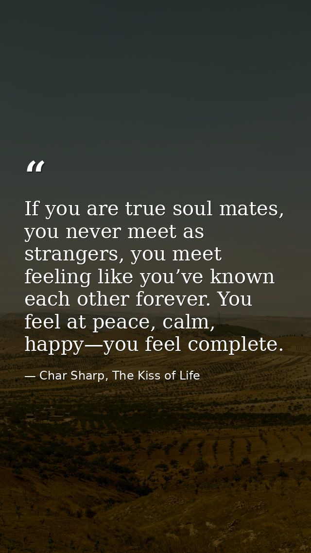 If you are true soul mates, you never meet as strangers, you meet feeling like you’ve known each other forever. You feel — Char Sharp, The Kiss of Life