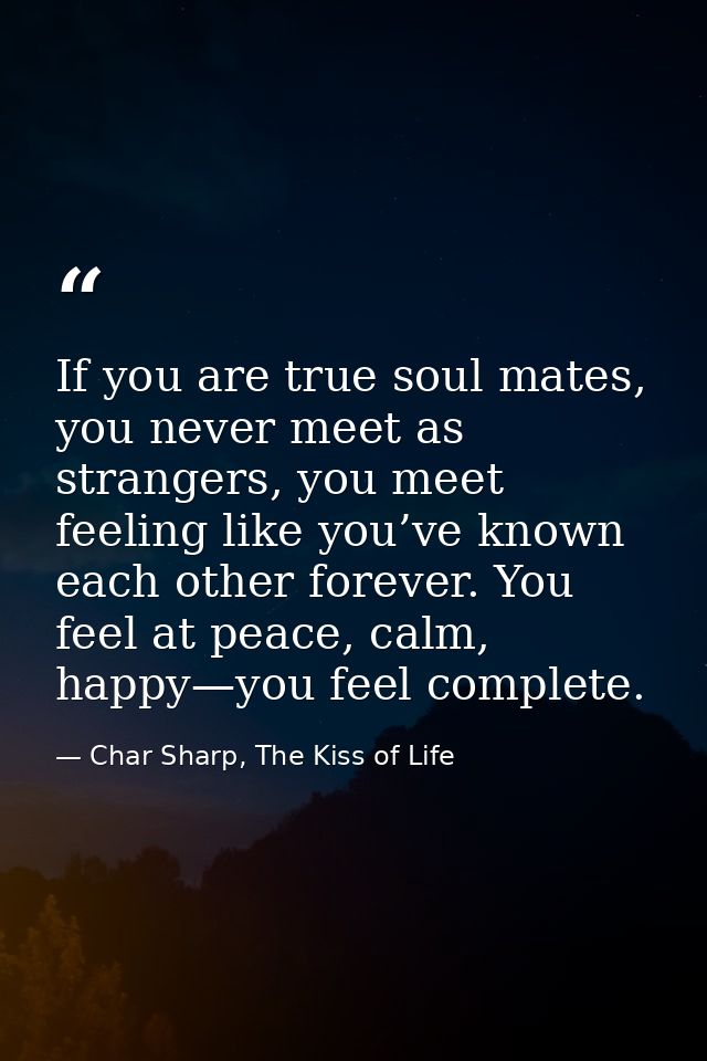 If you are true soul mates, you never meet as strangers, you meet feeling like you’ve known each other forever. You feel — Char Sharp, The Kiss of Life